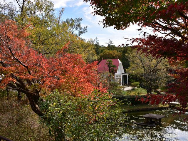 Wup[N TcLƃC̉_Wup[N