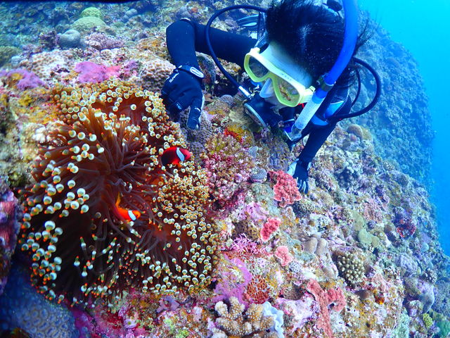 �B�e���Ă����������ʐ^_�_�C�r���O�T�[�r�X�ɊC