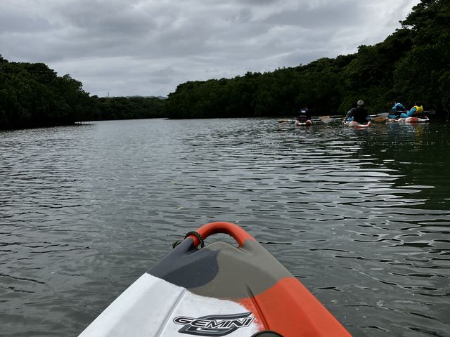 �ݐ؏��
�V�C���悩������Ȃ�_�Ί_���J�k�[�c�A�[�E�r��