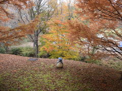 邭̓ߐ{efBxAE~[WAւ̓eʐ^2