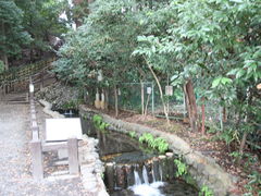 jkammy07̂̓E^p̒rNQւ̓eʐ^1