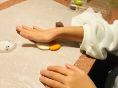 ܂Ⴋ̋n aَqÂ̌ւ̓eʐ^1