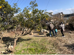 PITCHFORK FARMS̎ʐ^2