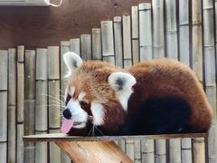 ́[񂳂̔Moiijւ̓eʐ^1