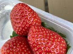 ܂strawberry farm ӂƂւ̓eʐ^1