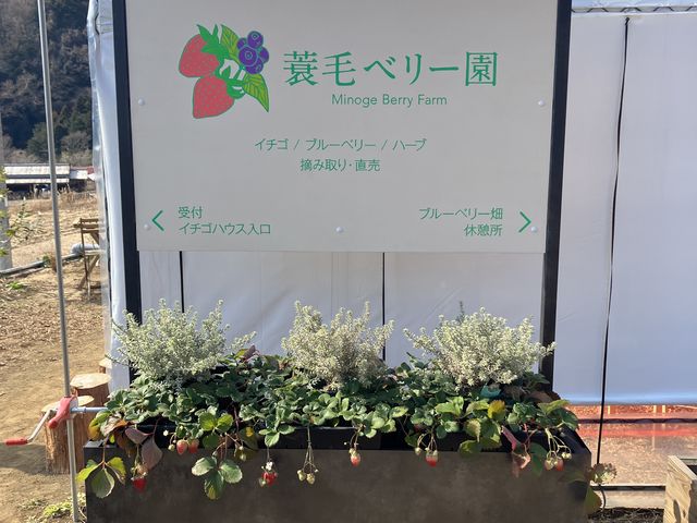 �Ŕ�_���уx���[��