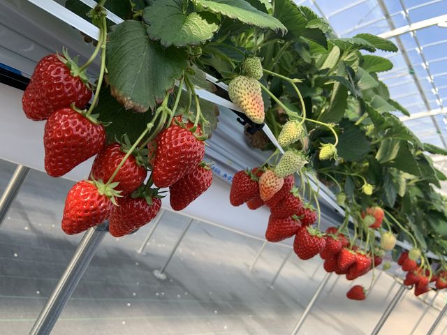 �H�׍����������񂠂��ăe���V�����オ��܂�_�������_�������ǁE�ׂ�[