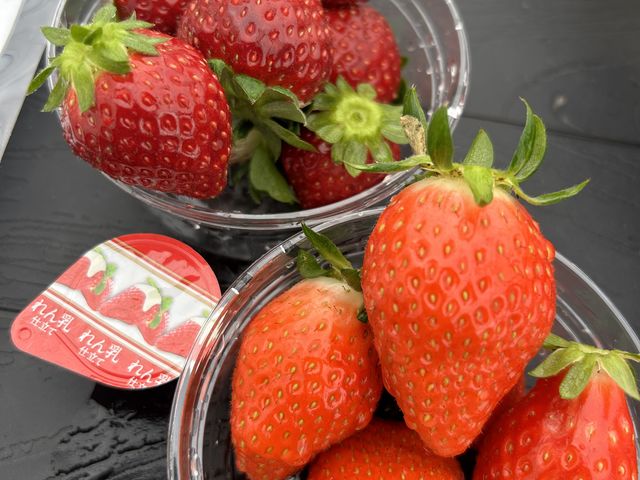 ���C�`�S�͐F���Z���ł�_�������̂�������