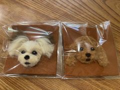 񂳂̃A`UEV}ւ̓eʐ^1