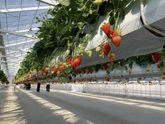 䂿񂳂̃qt@[ւ̓eʐ^1