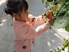 natsuyuna2̃t@[ւ̓eʐ^1