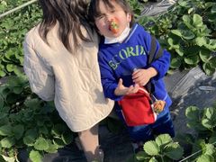 ݁[Ƃ̂邤_ւ̓eʐ^1