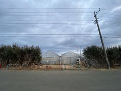 ƂȂ肪gg̏H{_ւ̓eʐ^1