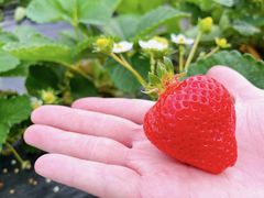 ȁ[ˁ[̊ό_Et[Yւ̓eʐ^1