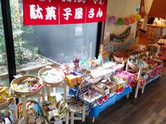 񂽂`̗LnX򂷂̓ւ̓eʐ^1