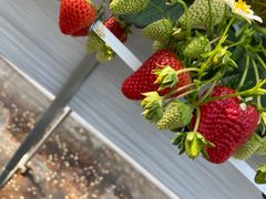 Ђ߂̂nEX@ɓ|ւ̓eʐ^1