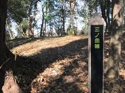 ������������̏��R��Ղ̓��e�ʐ^5