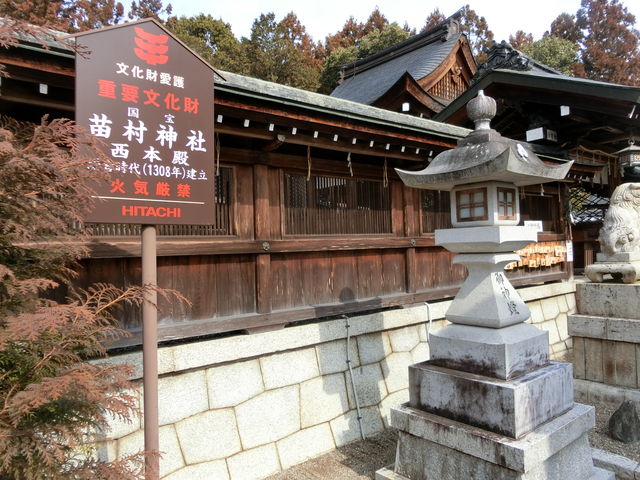 �c���_��