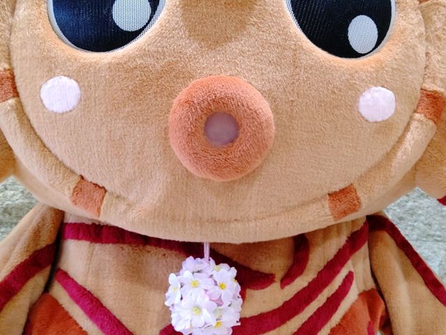 Ƃǂʐ^OKX|bg܂_Ȗ،