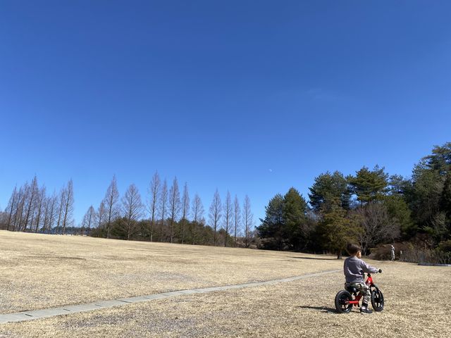 �Ő��G���A_SMILE-LABO HIROSHIMA