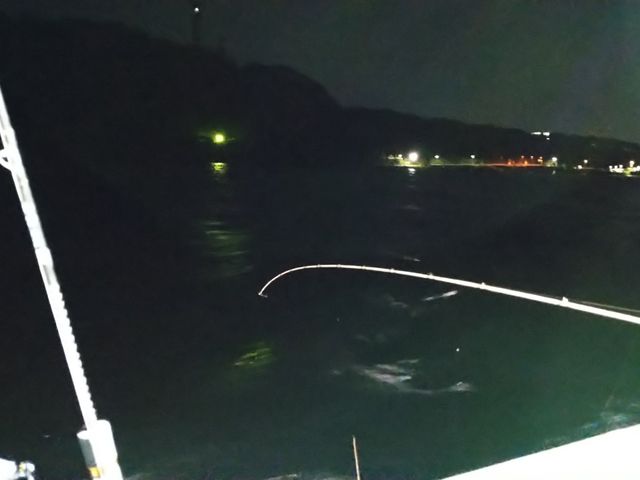 �郁�o�������Ԍ����_��D�[��