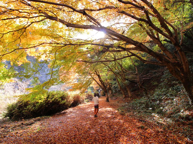 ݂̃gl_tHgWFjbNEAhx`[