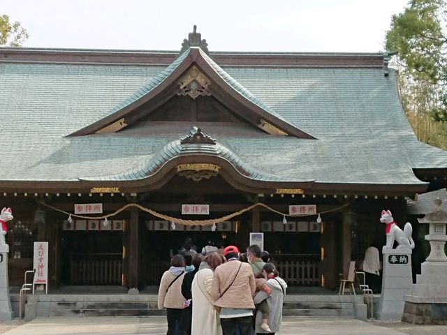 �Q�q���s�V�悭�����(^^)_��t��א_��