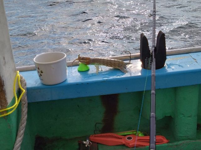 ��������Ԍ���ŁB�X�~�C�J���e������_��D�[��