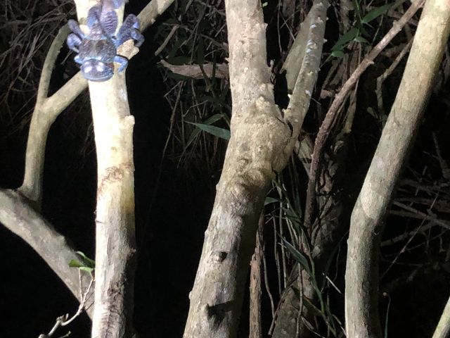 ���V�K�j�I�I�I�I�I�I�I
_�{�Ó� ADVENTURE PiPi