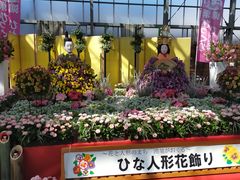 お花に興味がなくてもアッと驚く新名所！ - 鴻巣農産物直売所パンジー