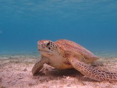 ܁[imtida{Óւ̓eʐ^1