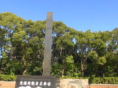 ���傳��̌����������S�n��ւ̓��e�ʐ^1