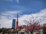 chico̓scOc Ōw̓eʐ^2