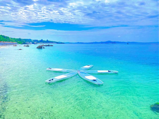 �N���A�T�b�v�ō�_CLEARSUP JAPAN�y75�}�����z�h���[����B�f���ʐ^�B�����!