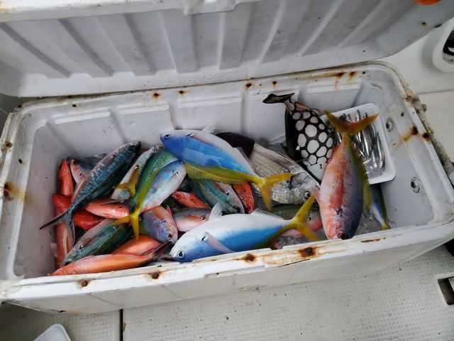 �l���Ԃ̋�_�����ނ�DAQUA