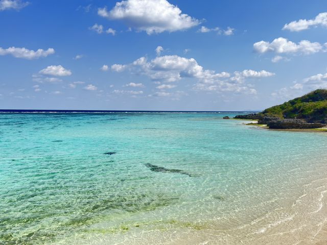 �����ʂ����C_CLEARSUP JAPAN�yNAKIJIN�}�����z�h���[����B�f���ʐ^�B�����!