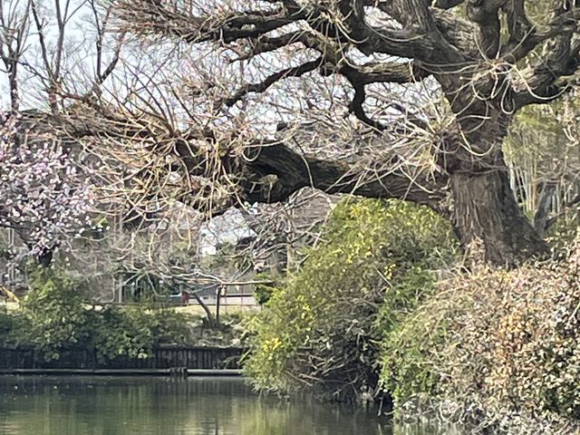 �����炭������ƑO�ł���_��������ό�