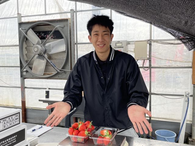 �Ί�̑f�G�ȕ��ł��B_�J�S���}���V�F���������_��