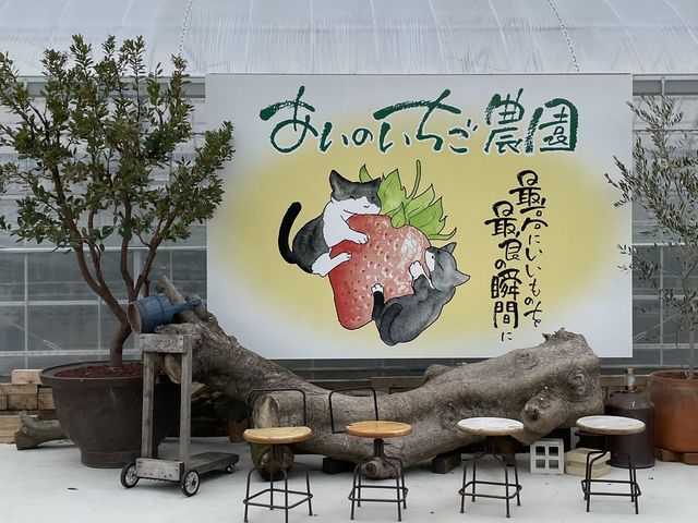 �������̎ʐ^�X�|�b�g�ł��B_�����̂������_��