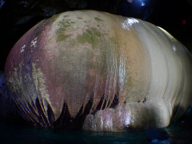 �܂�܂�p���v�L��_SEA ENJOY