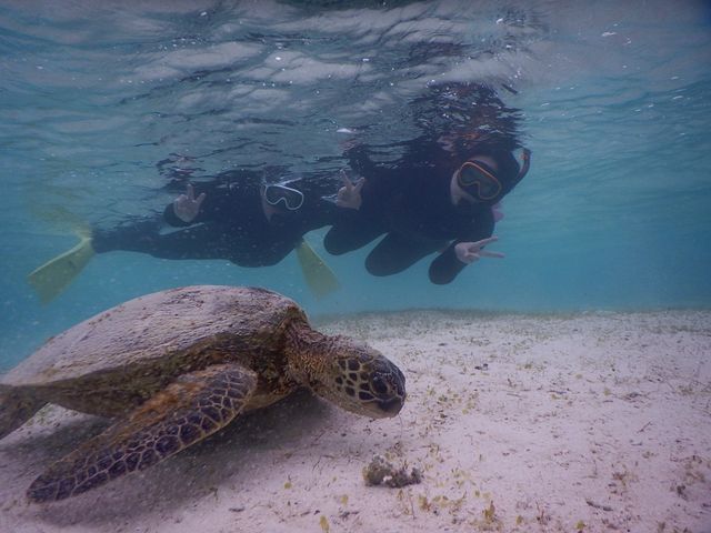 ���H�����̋T�����_SEA ENJOY