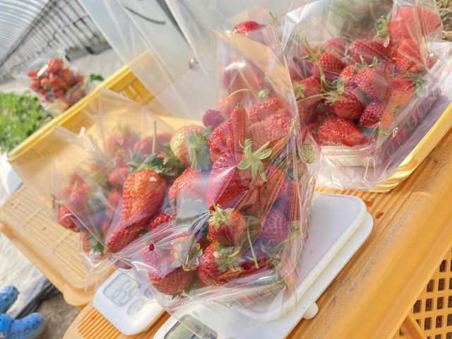 ���ԓ������ς����n�����Ă��炢�܂���_�t�@�[���X�M���g