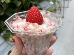 Ђ邳̂񂽃t@[ւ̓eʐ^1