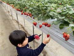 XRbeB̂Ђӂ`ނւ̓eʐ^3