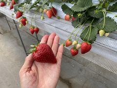 XRbeB̂Ђӂ`ނւ̓eʐ^4