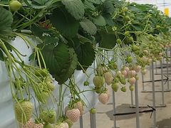 ҂̂Eu[x[_@x[̋ւ̓eʐ^3