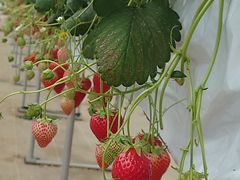 ҂̂Eu[x[_@x[̋ւ̓eʐ^4