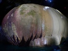 Ђ܂肳SEA ENJOYւ̓eʐ^1