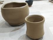 nMRt̓|@Cactus̓eʐ^2