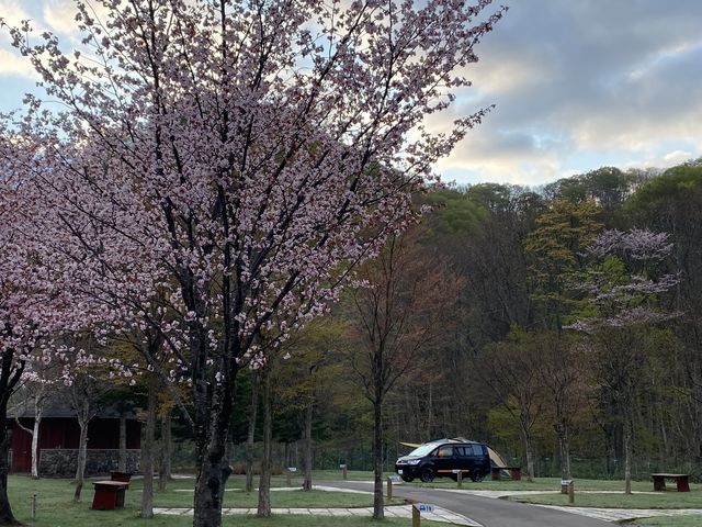 �d�������I�[�g�T�C�g_�G�_���I�[�g�L�����v�� �n�`�����̐X